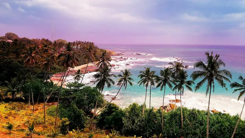 Palm-lined beach on the south coast near Tangalle