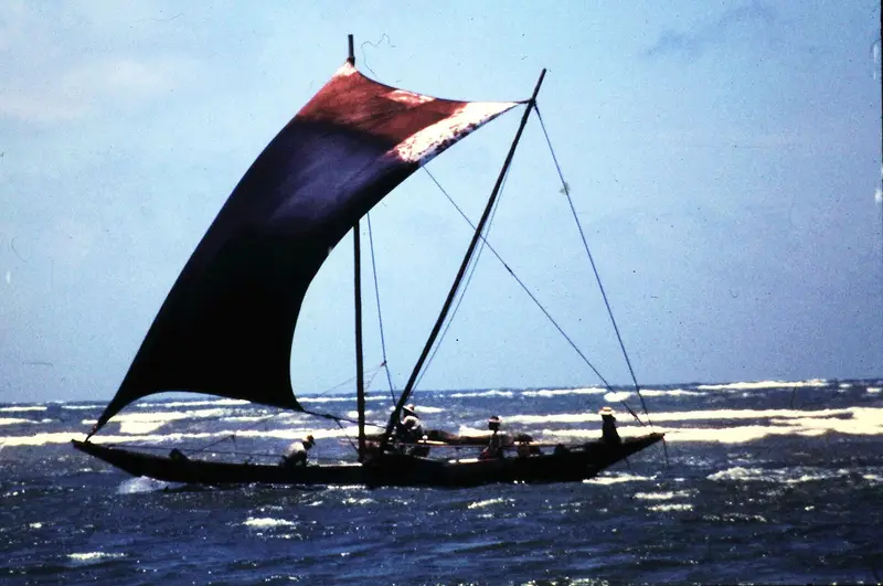Traditional outrigger sailing boat (oruwa) at Negombo