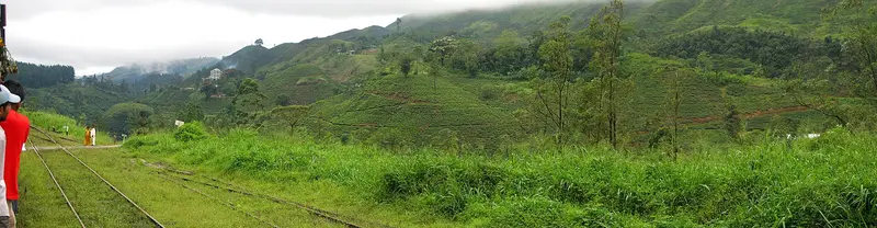 Tea estate hills in Sri Lanka's hill country